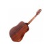 TAKAMINE GD10 NS